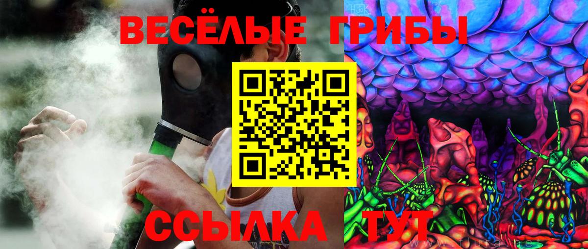 Псилоцибиновые грибы GOLDEN TEACHER  Вход с VPN  наркошоп  Сорочинск 