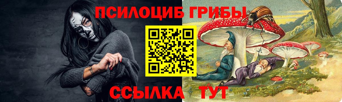 Псилоцибиновые грибы мухоморы Сорочинск